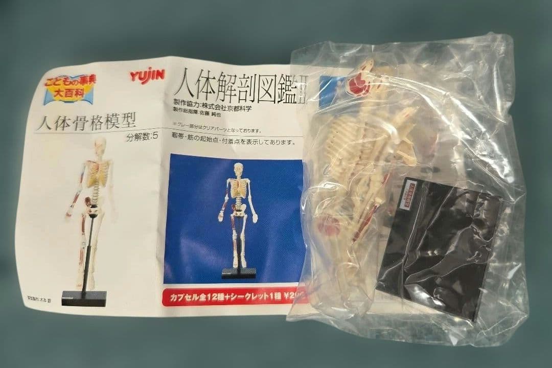 ユージン 人体解剖図鑑II 未開封 9種