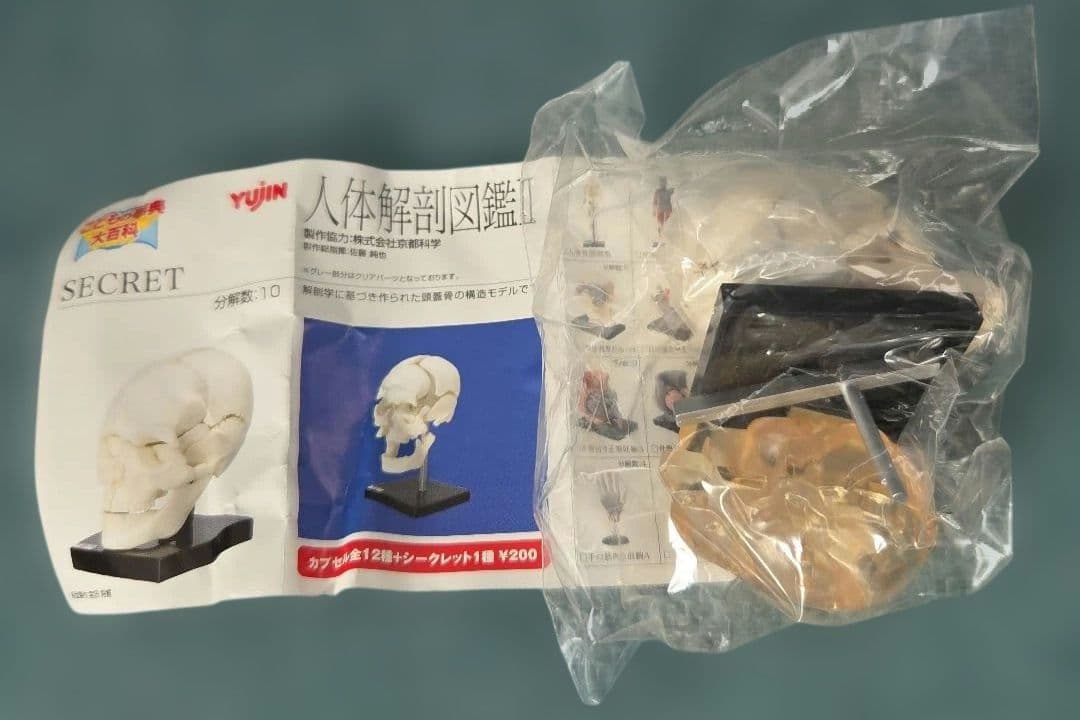 ユージン 人体解剖図鑑II 未開封 9種