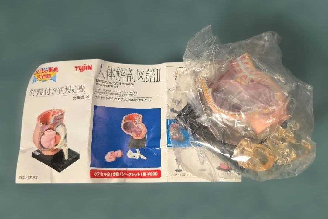ユージン 人体解剖図鑑II 未開封 9種