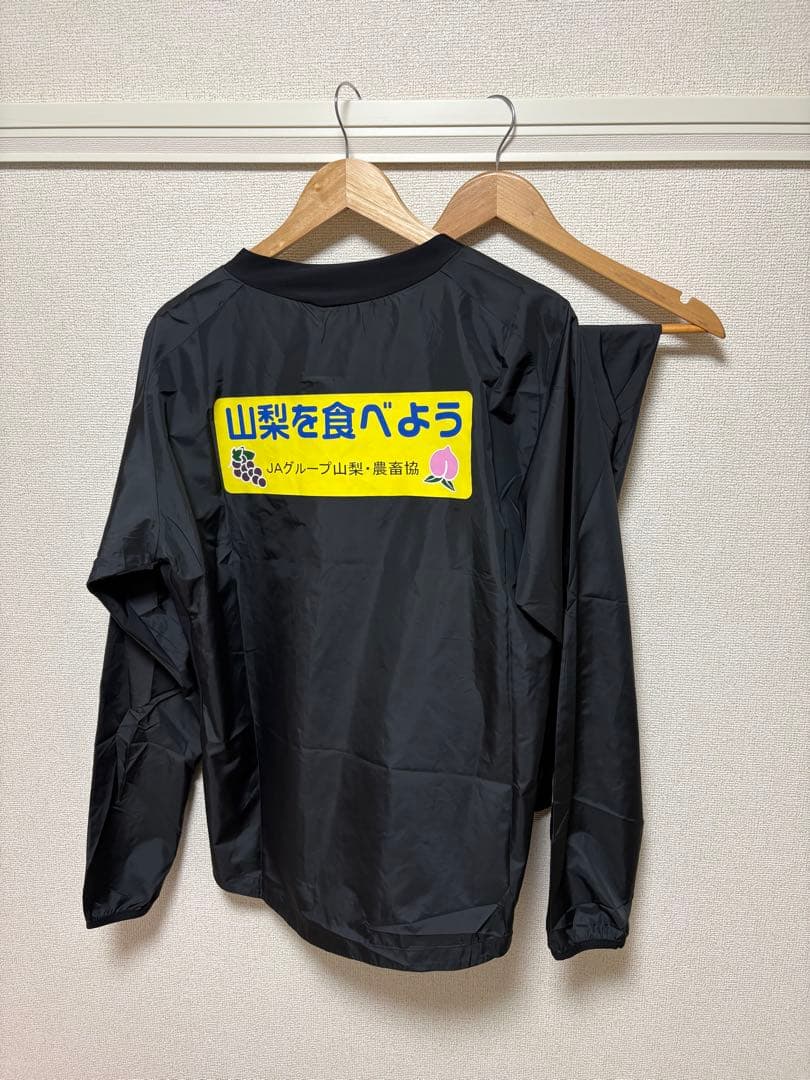 ヴァンフォーレ甲府 ピステ上下セット 選手着用 XL ミズノ Jリーグ
