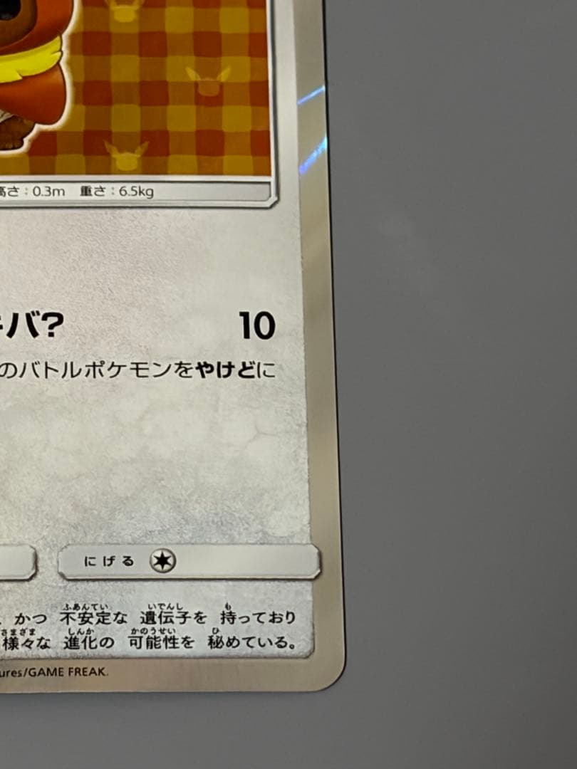ポンチョを着たイーブイ ブースター プロモ SM-P ポケモンカード ポケカ