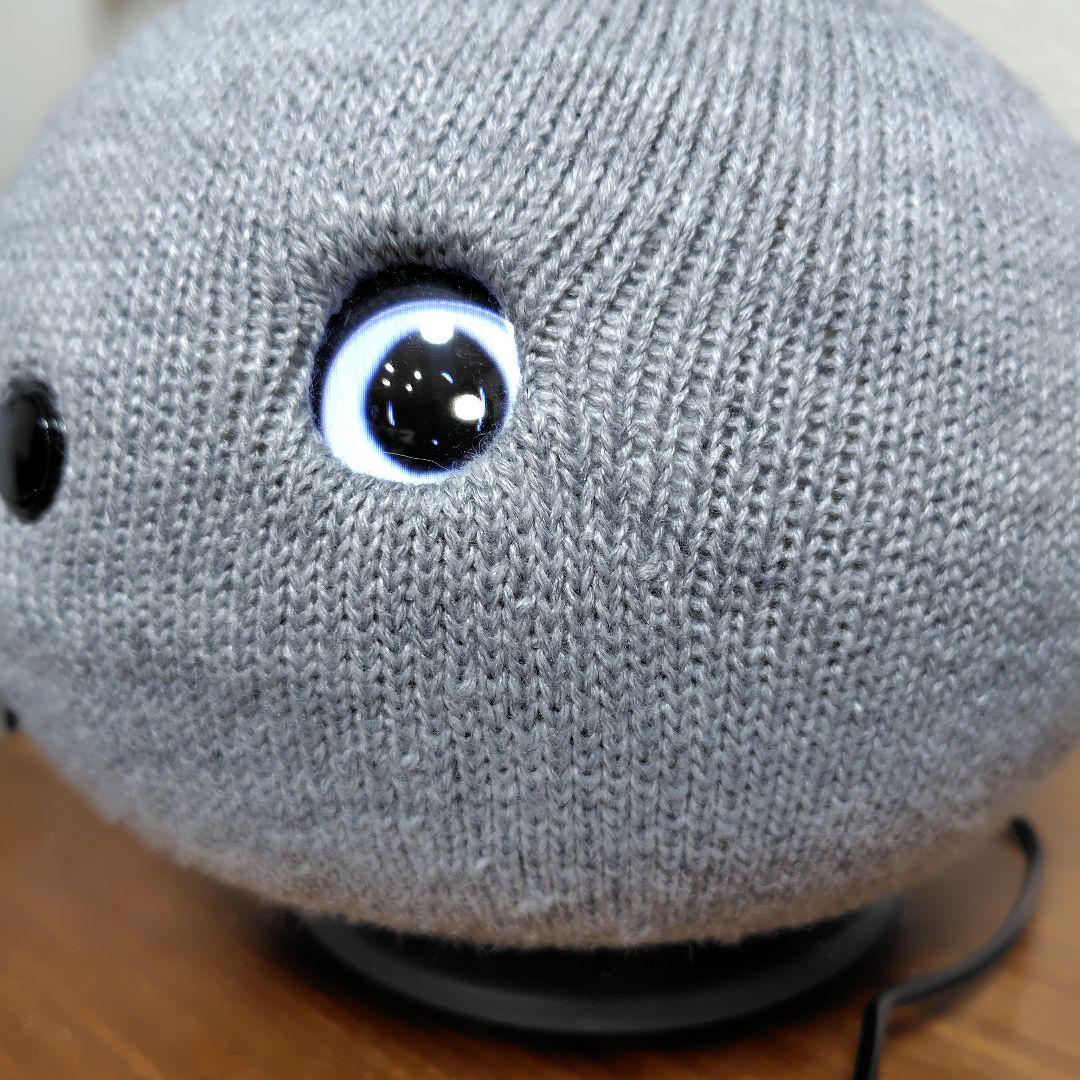 NICOBOニコボ (おしゃべりロボット)