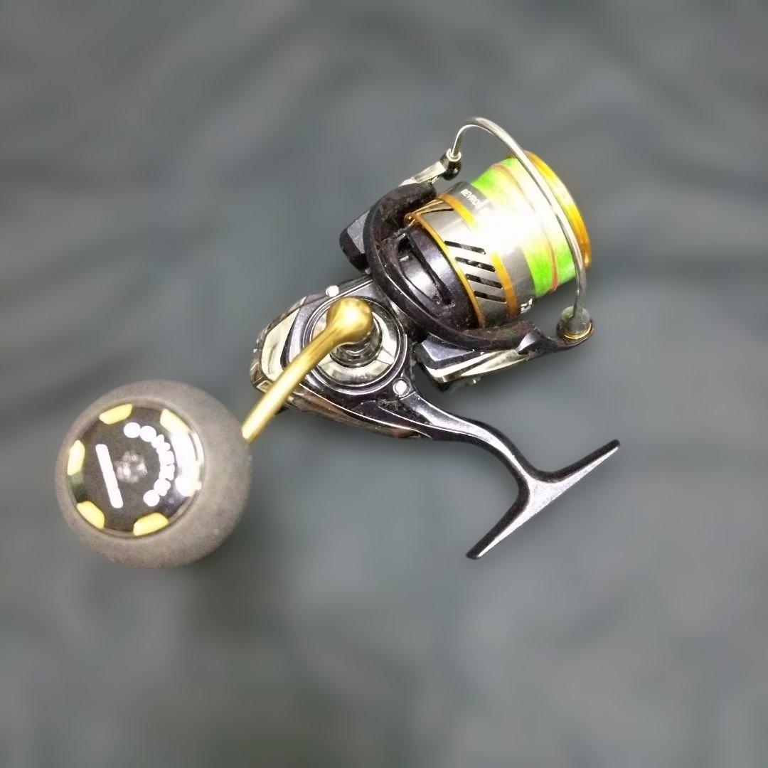 ダイワ Daiwa 20 レブロス LT4000-CH