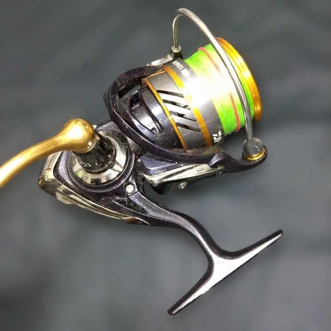 ダイワ Daiwa 20 レブロス LT4000-CH