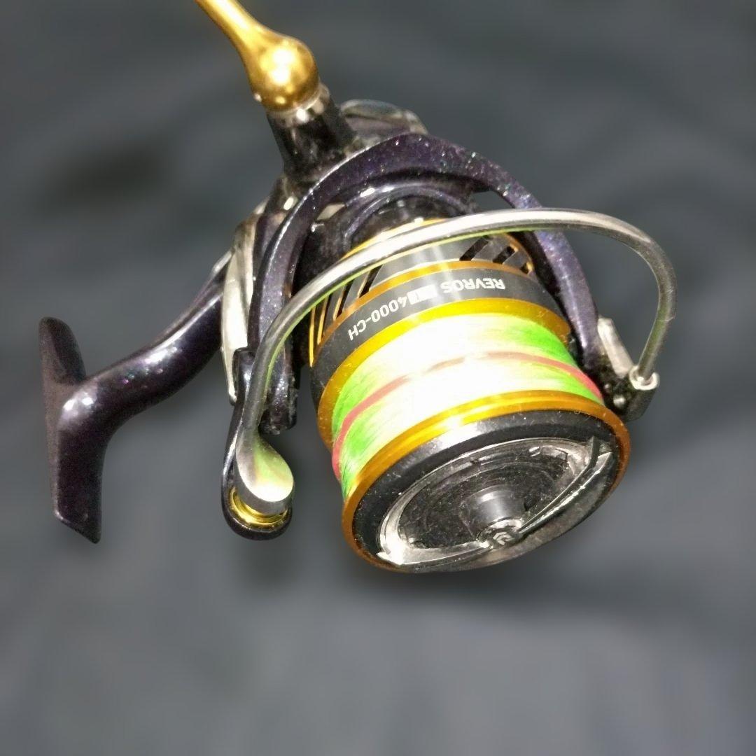 ダイワ Daiwa 20 レブロス LT4000-CH