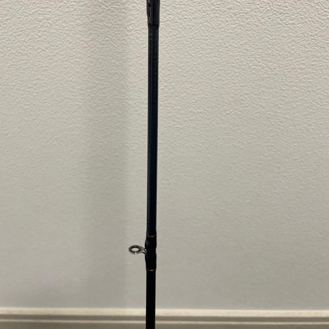 ダイワTENYA TACHIUO X 200
