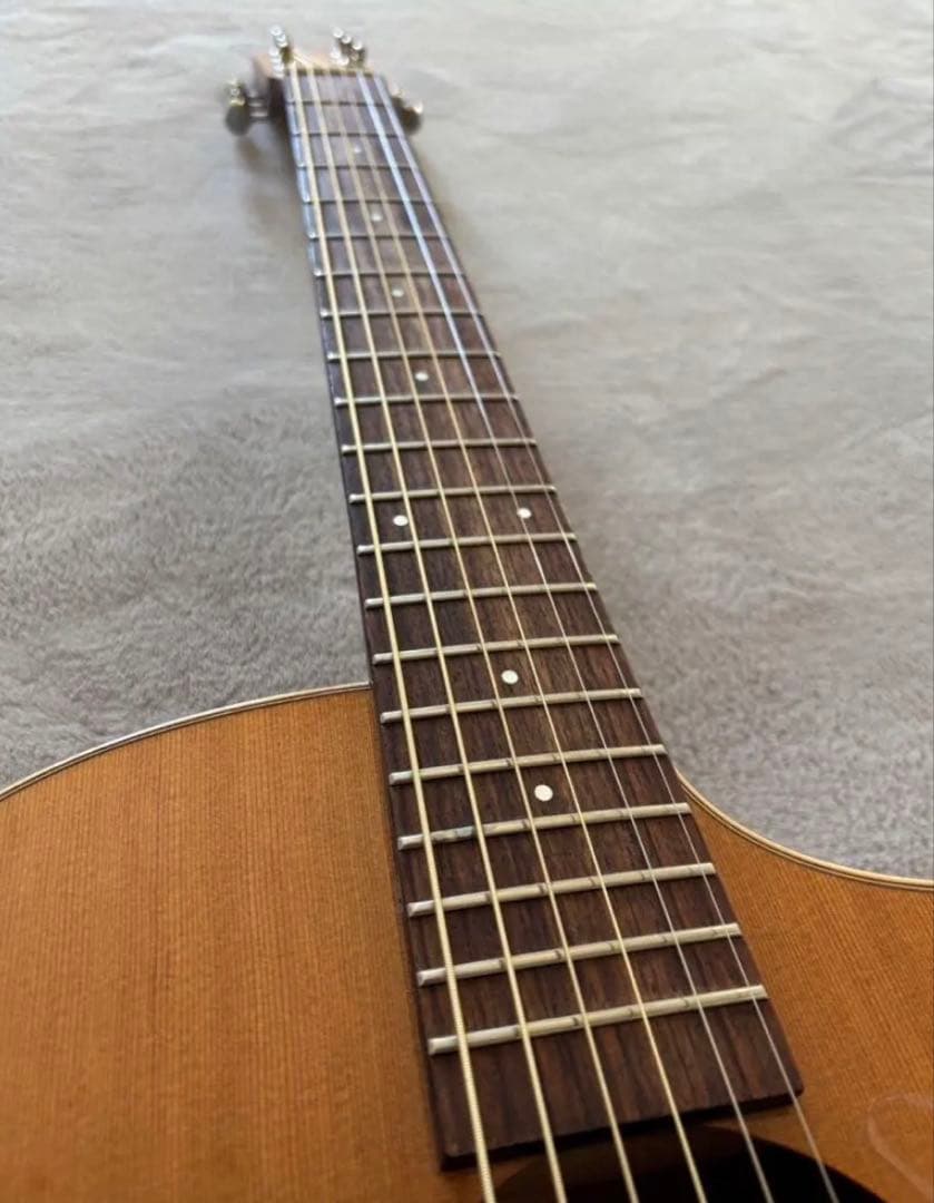 L.Luthier アコースティックギター