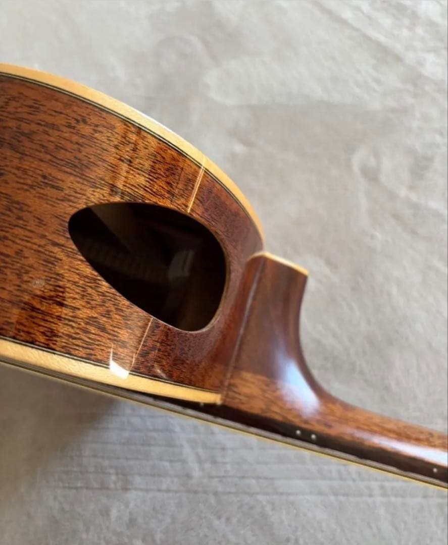 L.Luthier アコースティックギター