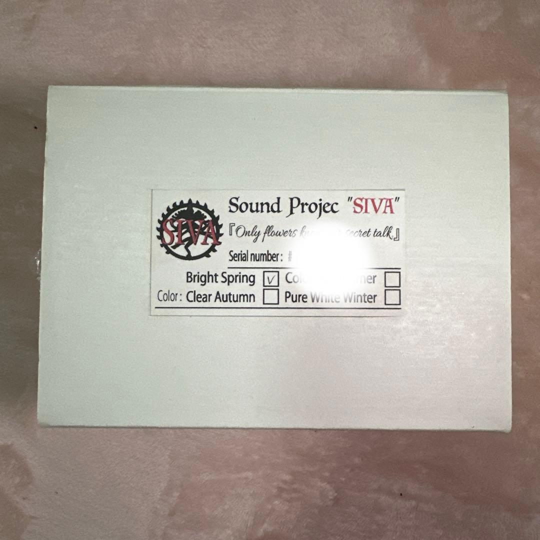 ギター Only flowers know our secret talk.