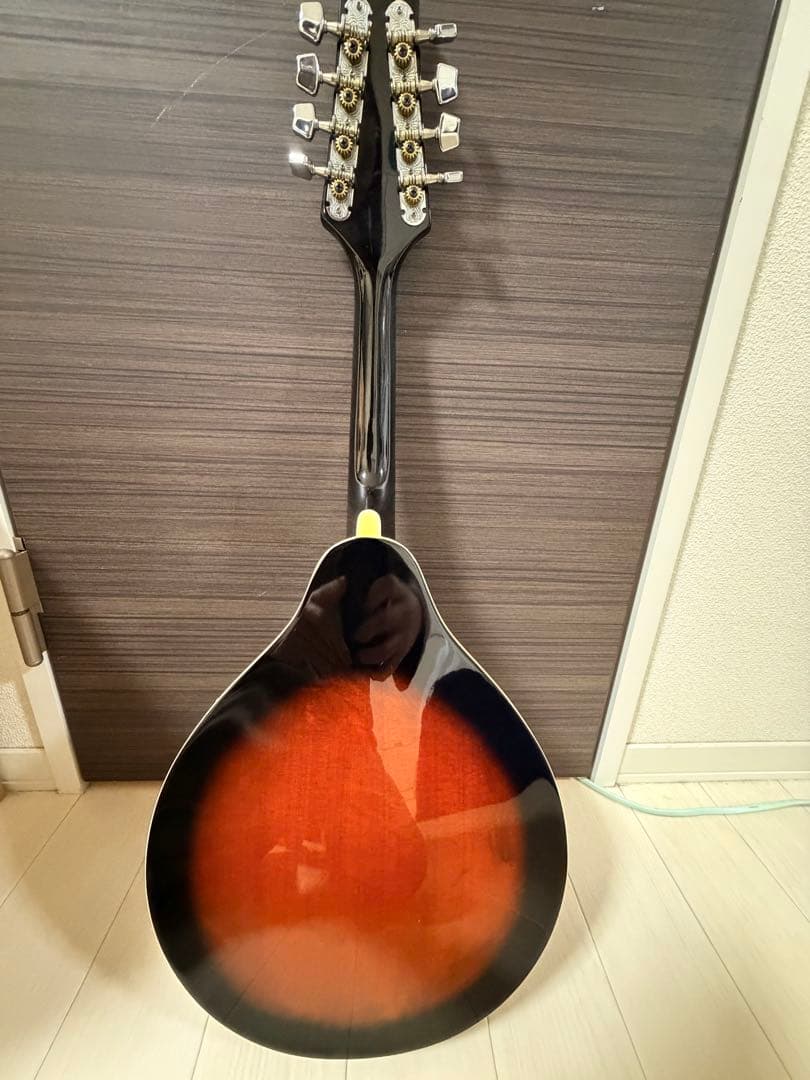 Aria AM-20 マンドリン
