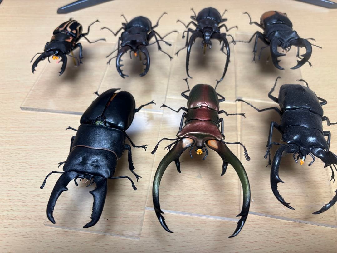 バンダイ　クワガタフィギュア　標本風　7種