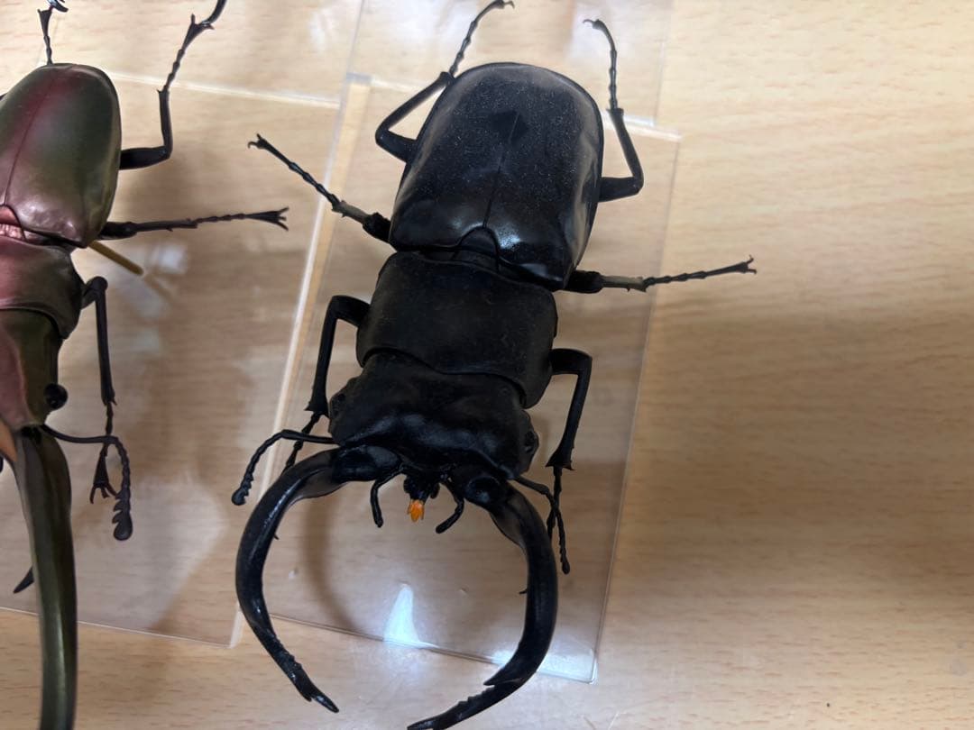 バンダイ　クワガタフィギュア　標本風　7種
