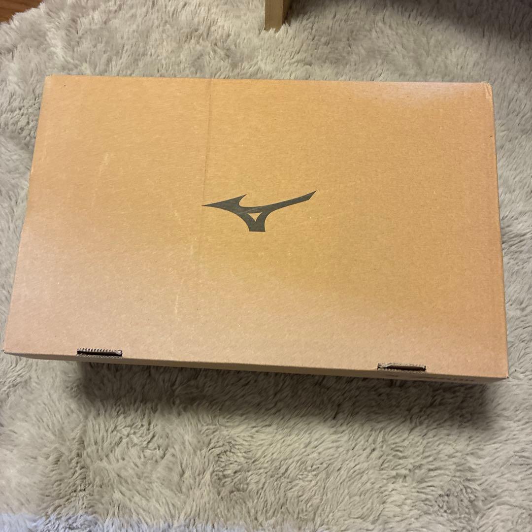 Mizuno Morelia IN フットサルシューズ 27.5cm
