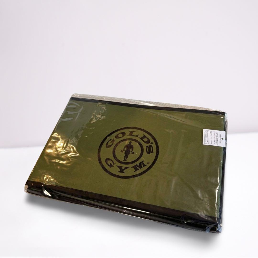 【即完売品】GOLD'S GYM　ゴールドジム　ストレージボックス　3個セット