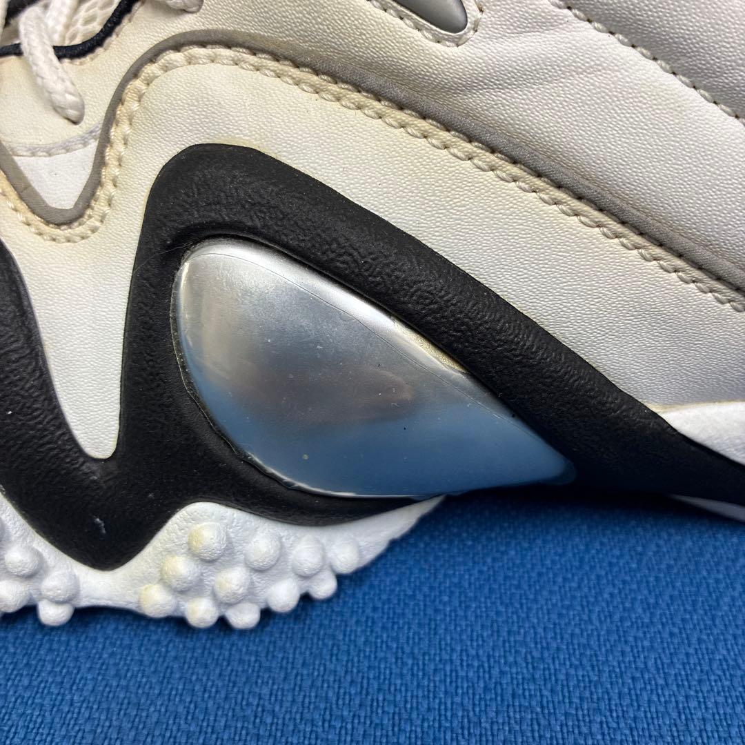 H*S様 【超稀少】NIKE air zoom flight5