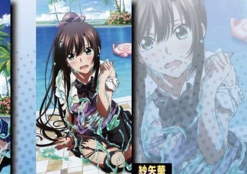 ストライク・ザ・ブラッド　特大タオル　姫柊雪菜　煌坂紗矢華　ストブラ