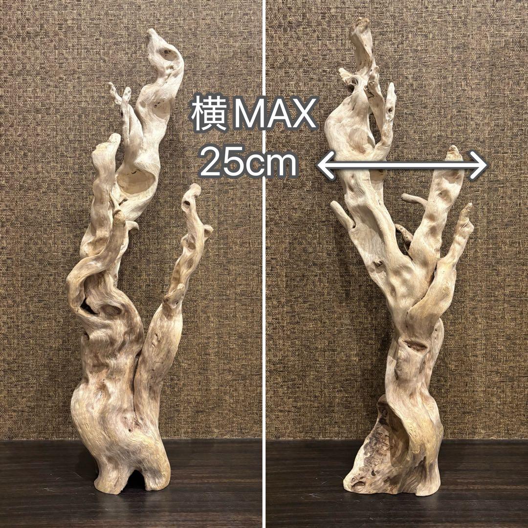 流木　大型75.5cm 超インテリア