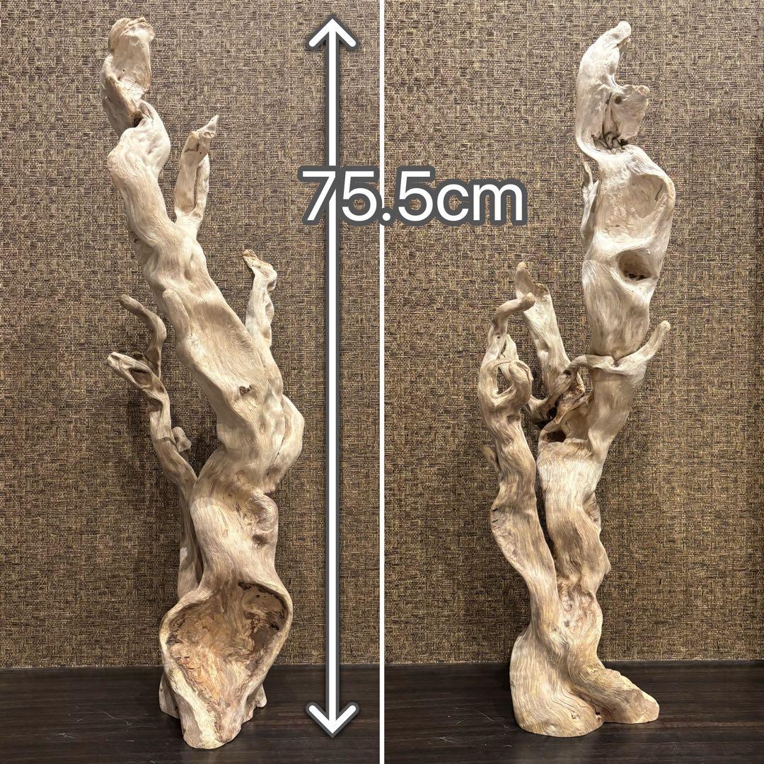 流木　大型75.5cm 超インテリア