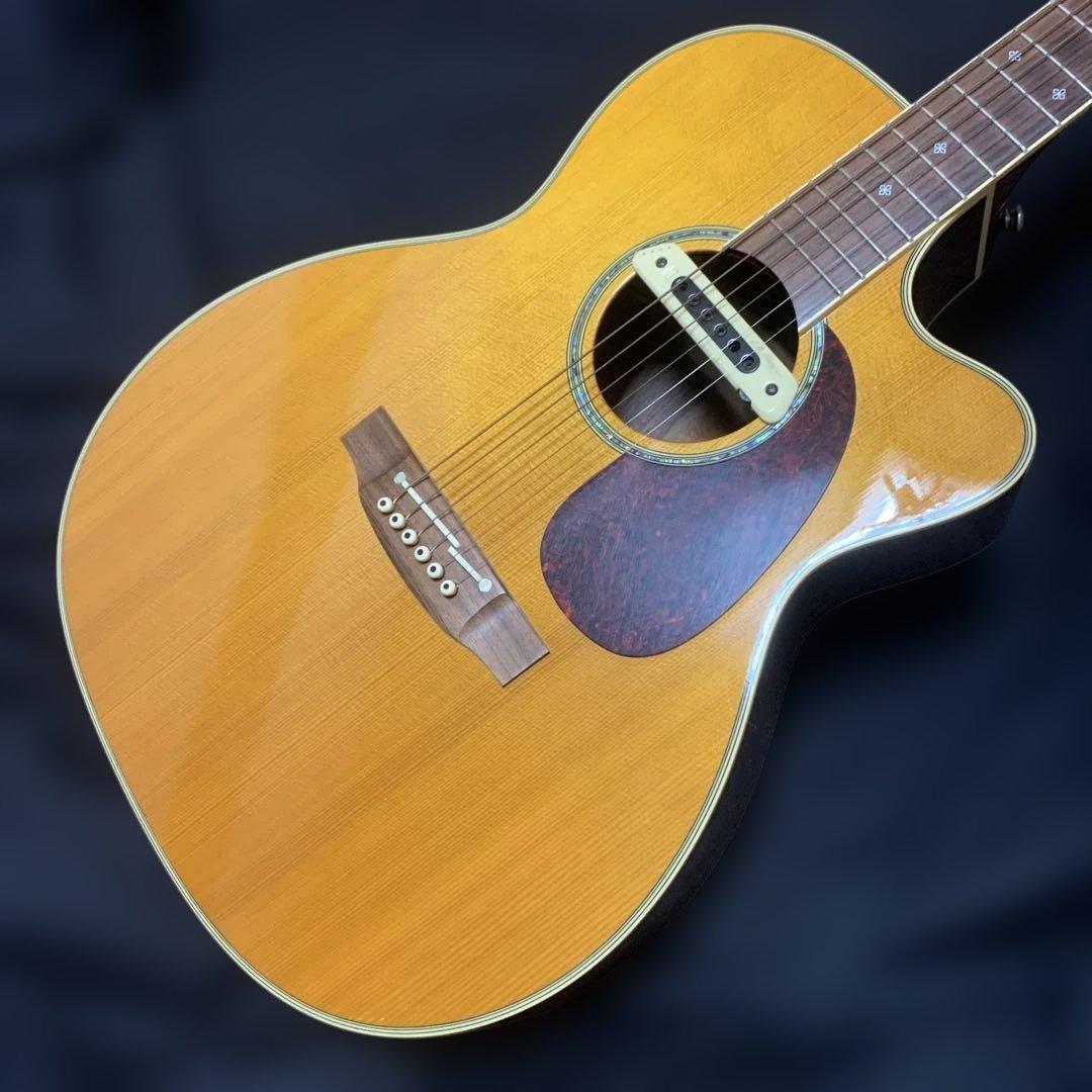 Takamine タカミネDMP713 CT エレアコ　※ソフトケース付き