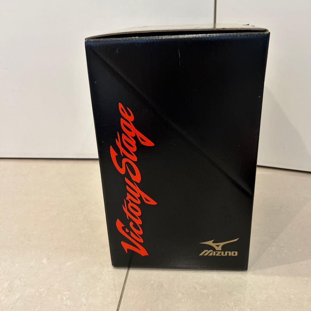 Mizuno グローブ ビクトリーステージ　スペシャルオーダー