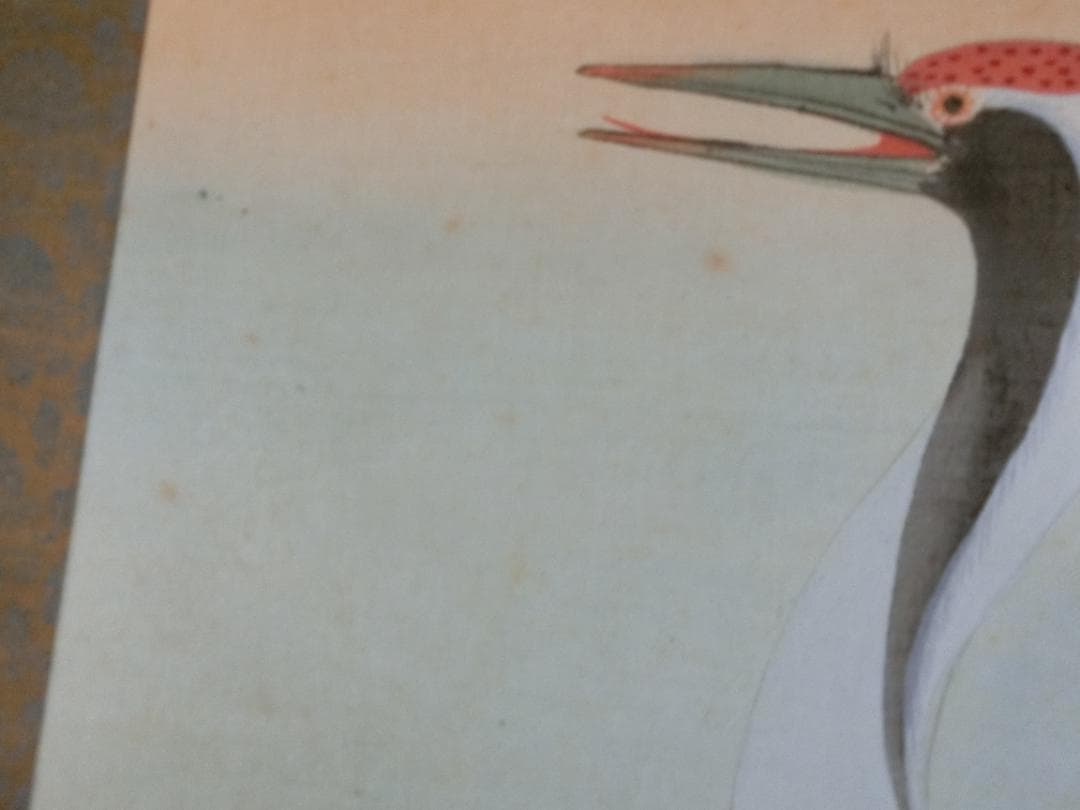 ㉗桂泉画 鶴 日本画 掛け軸