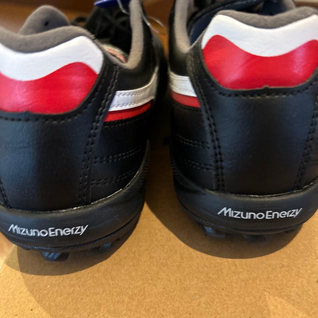 シューズ Mizuno Morelia SALA PRO TF 24cm