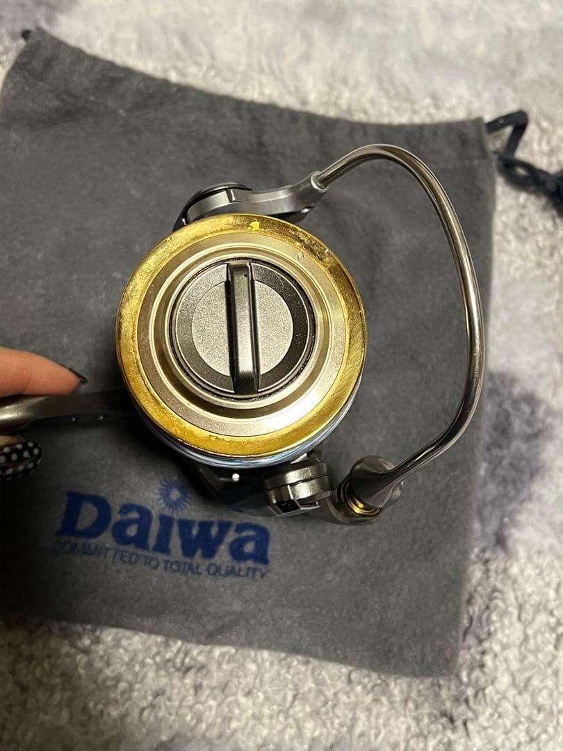 リール DAIWA Catalina4500