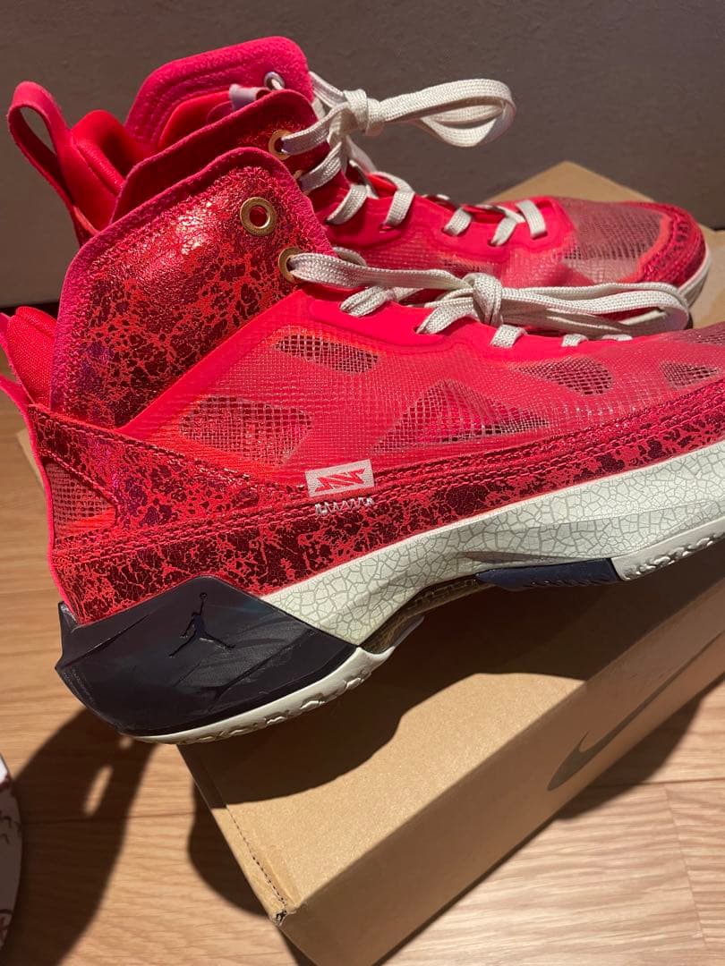 Nike バッシュ　Jordan 37 八村モデル25.5㎝