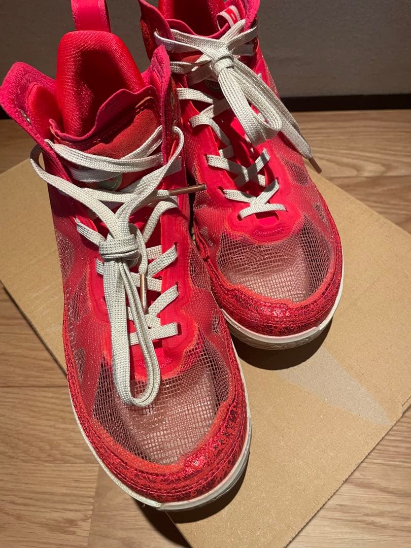 Nike バッシュ　Jordan 37 八村モデル25.5㎝