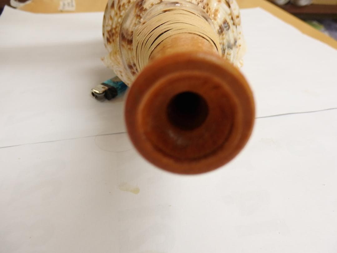 法螺貝 約36.5㎝ 木製歌口,新品 MH-461