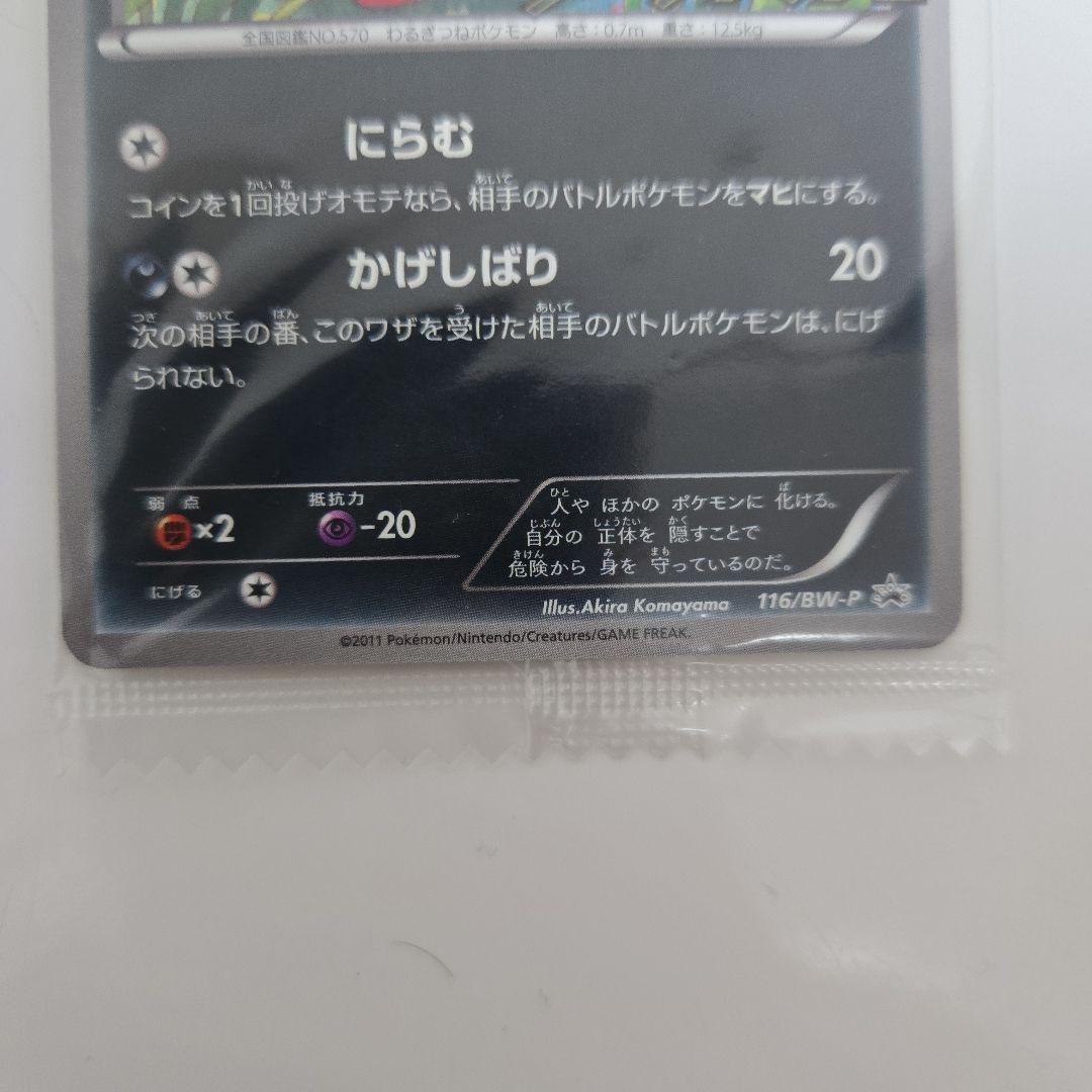 【未開封　美品】ゾロア PROMO BW-Pプロモカード 116/BW-P