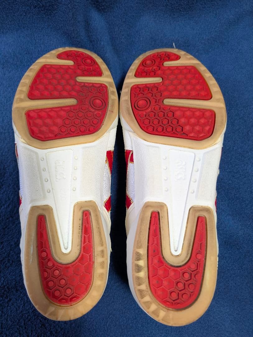 拝啓miichさま_ASICS　ローテジャパン　TVR340 27cm