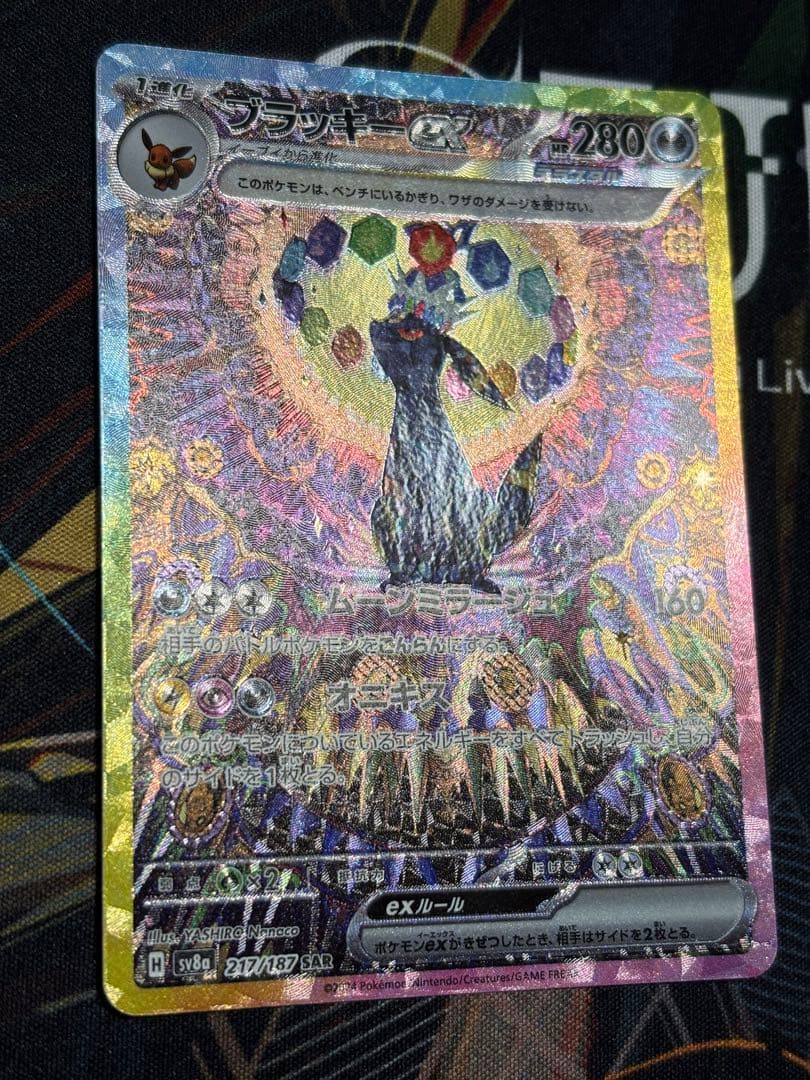 ポケモンカード　ブラッキーex SAR テラスタルフェスex