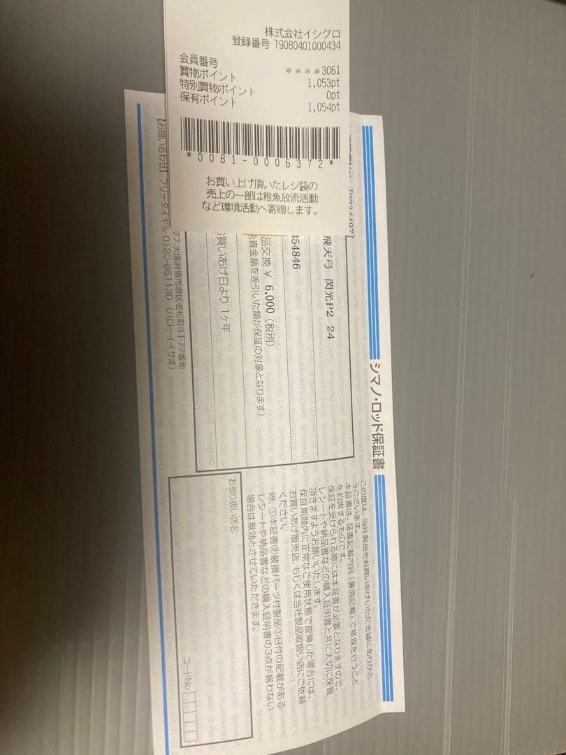 閃光P2 24