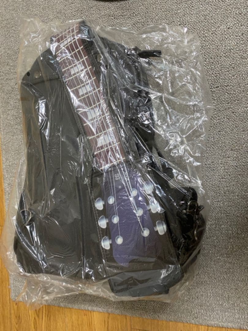 【キラ⭐︎キラ】d2b 紗理奈ギターバッグSG 未開封新品【OVERDRIVE】
