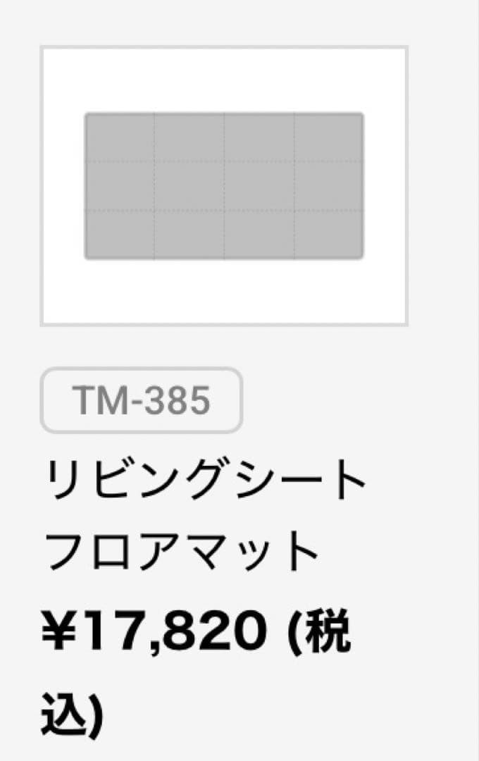 プロフ必読❗️本日14時まで‼️スノーピーク　リビングシートフロアマットTM-385