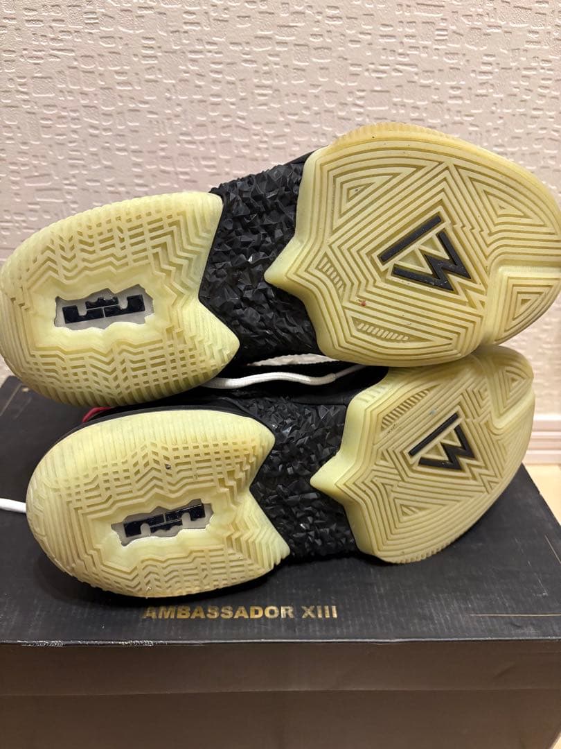 シューズ(男性用) LeBron ZOOM AMBASSADOR 13 \"yeezy\" 26.5