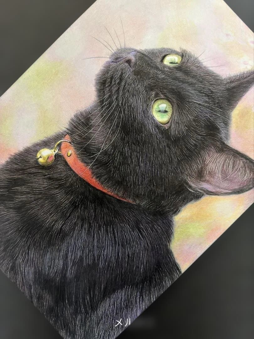 色鉛筆画.A4.黒猫.57