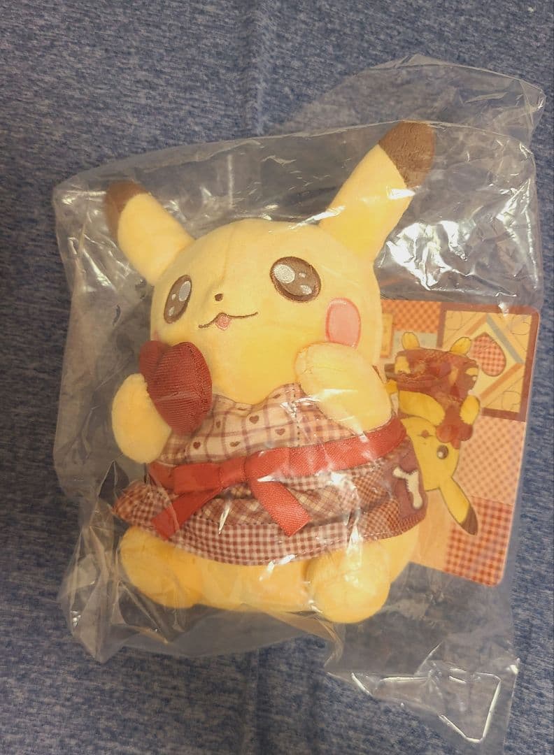 ポケモンセンターオンライン バレンタイン 2026 ４点セット