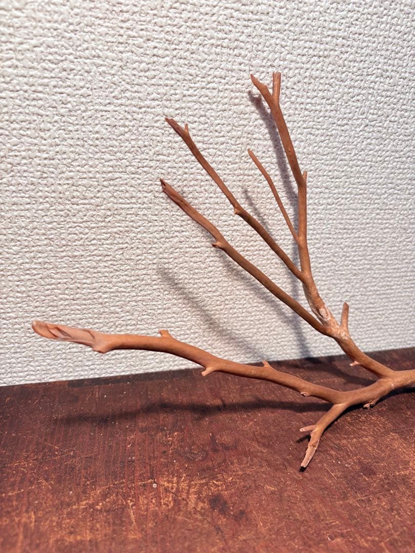 海松 深海松 レインボーコーラル 原木 珊瑚 希少　　　　　　 こぶ付き