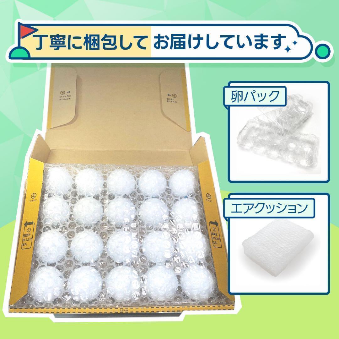 【2023年】PRO V1X Sランク604 20球おまけtee付　ロストボール