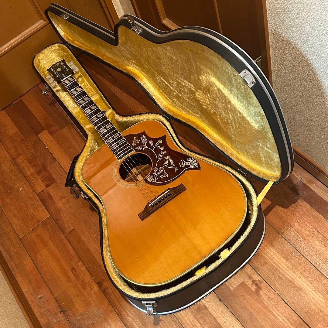 ♡*様 超レア！Orville by Gibson HUMMINGBIRDエレア
