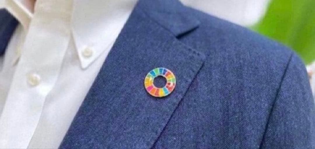 SDGs 法人・団体向け　50個セット