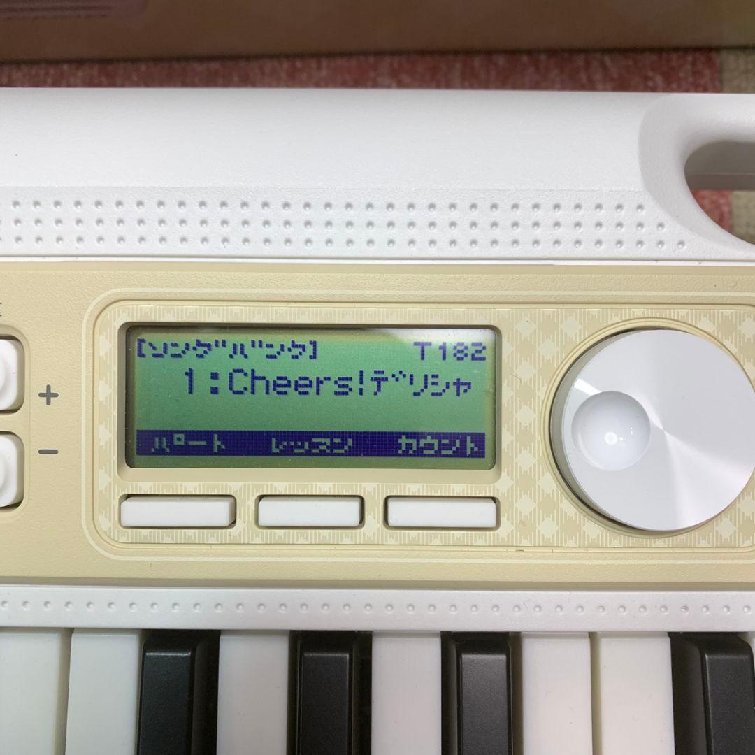 L172 CASIO 光ナビゲーションキーボード LK-325