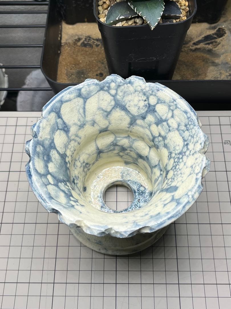 狂鉢