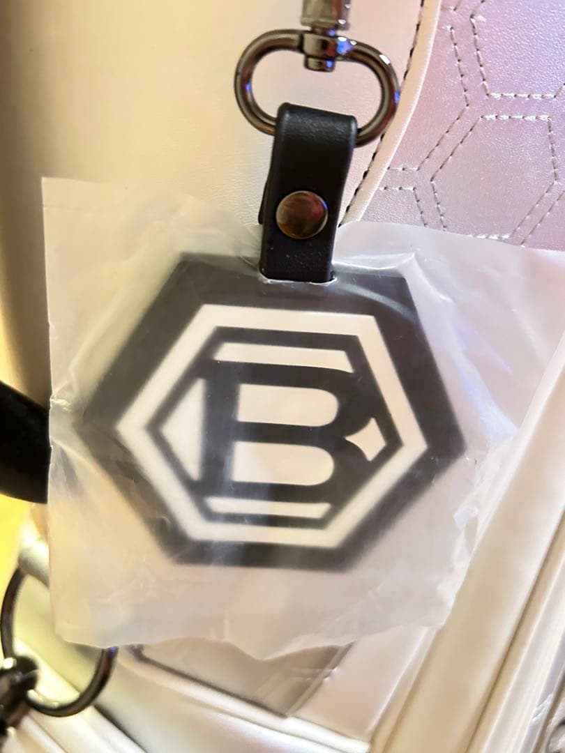ベティナルディ　Bettinardi ゴルフバッグ・キャディバッグ
