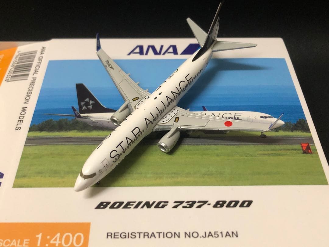 航空機・ヘリコプター ANA B737-800 JA51AN