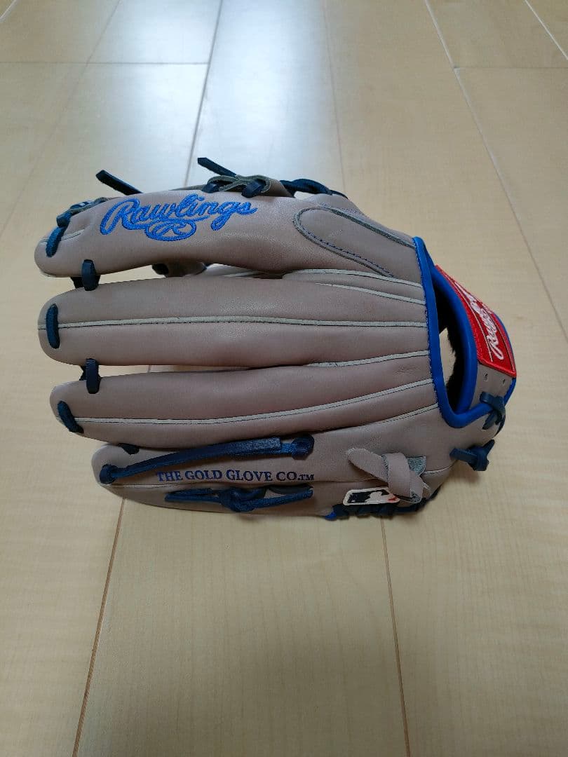 Rawlings 軟式グローブ The Gold Glove