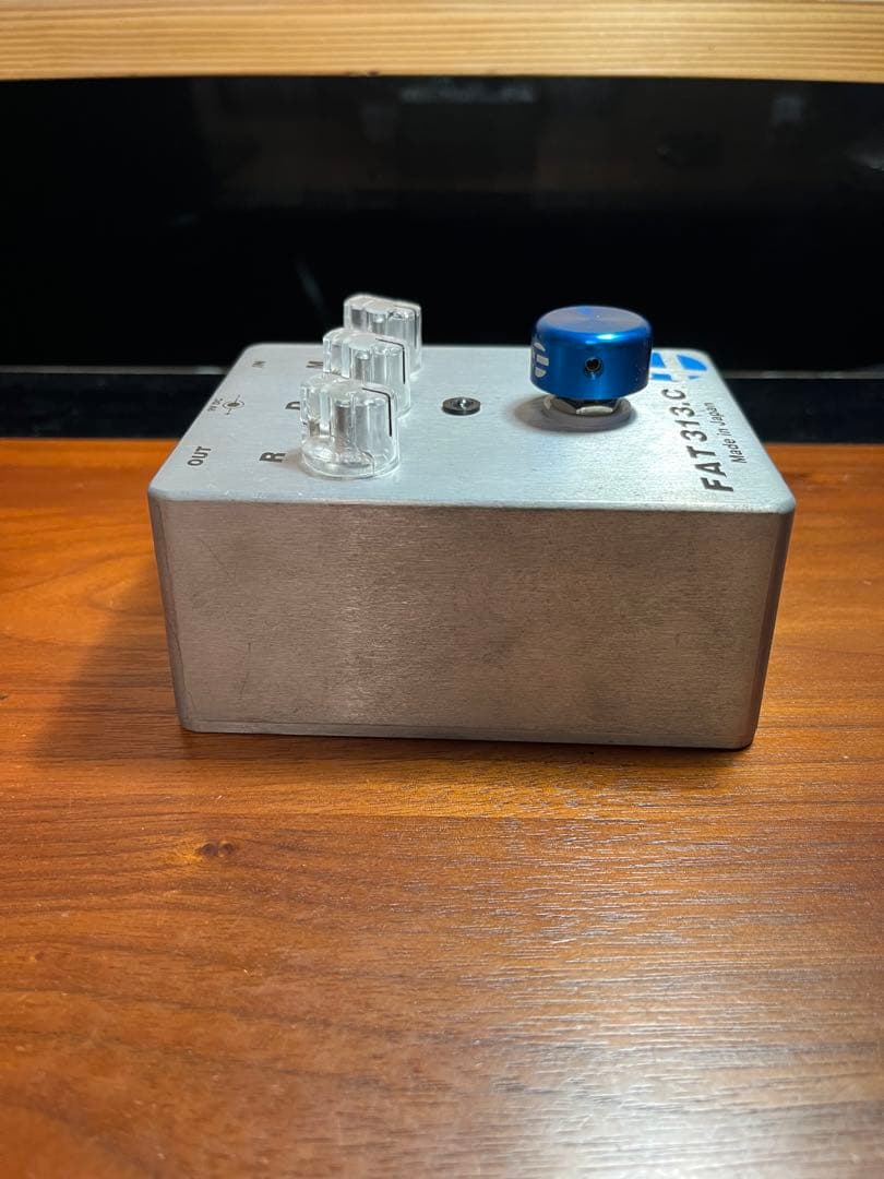 ギター FAT 313.C
