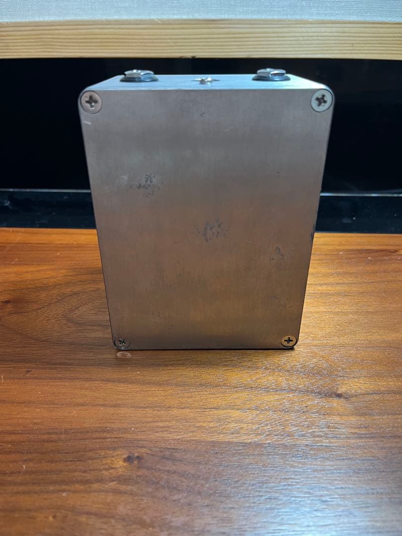 ギター FAT 313.C